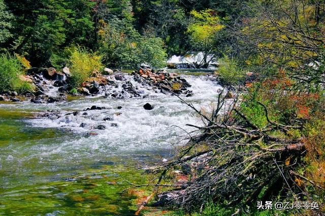 成都周边自驾一日游小众景点（成都周边的七个小众景点）(17)