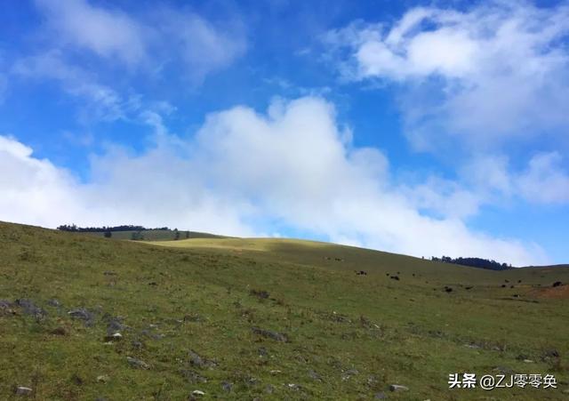 成都周边自驾一日游小众景点（成都周边的七个小众景点）(19)