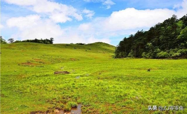 成都周边自驾一日游小众景点（成都周边的七个小众景点）(26)