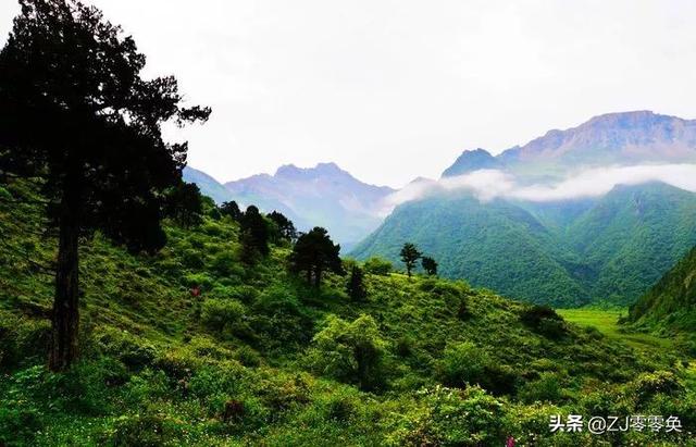 成都周边自驾一日游小众景点（成都周边的七个小众景点）(29)