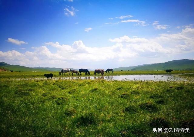 成都周边自驾一日游小众景点（成都周边的七个小众景点）(10)