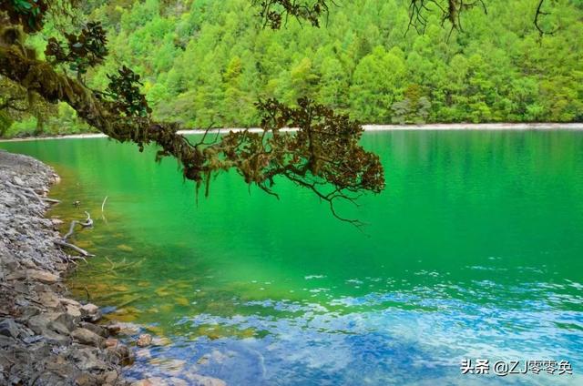 成都周边自驾一日游小众景点（成都周边的七个小众景点）(13)