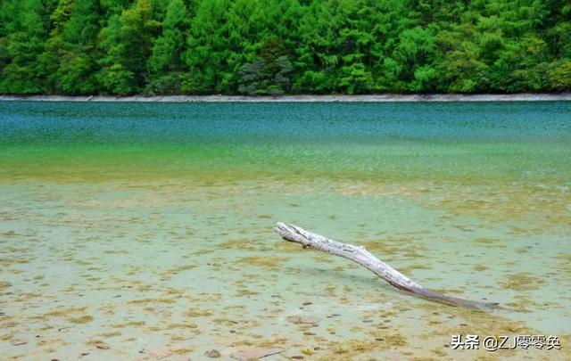 成都周边自驾一日游小众景点（成都周边的七个小众景点）(12)