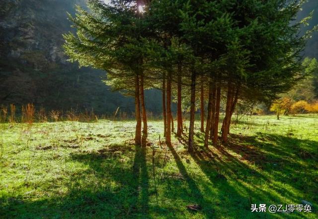 成都周边自驾一日游小众景点（成都周边的七个小众景点）(5)