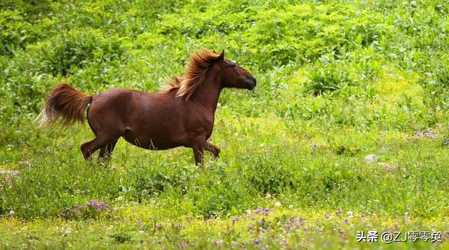 成都周边自驾一日游小众景点（成都周边的七个小众景点）(16)