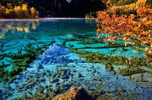 九寨沟自助旅游全攻略（九寨沟深度自助游攻略）(4)