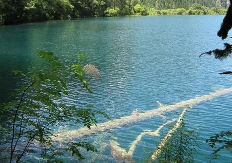 九寨沟自助旅游全攻略（九寨沟深度自助游攻略）(8)