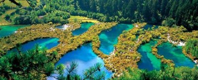 ​九寨沟自助旅游全攻略（九寨沟深度自助游攻略）