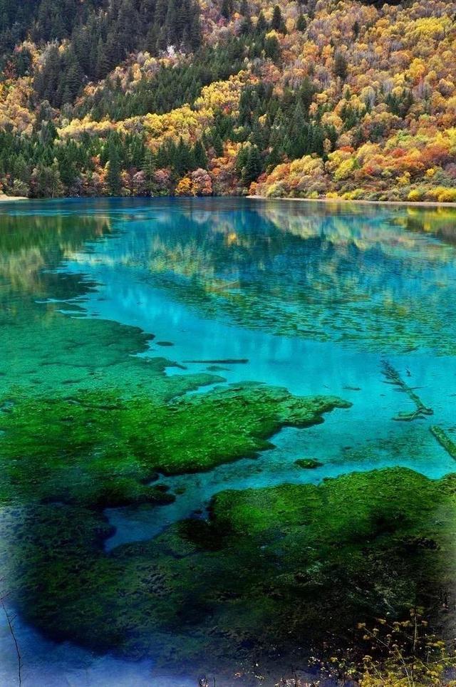 重庆到九寨沟玩2天怎么坐车（重庆开通直达九寨沟汽车）(8)