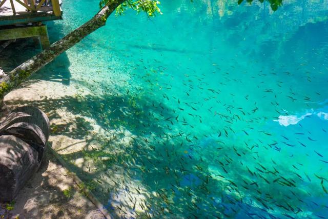 重庆到九寨沟玩2天怎么坐车（重庆开通直达九寨沟汽车）(13)