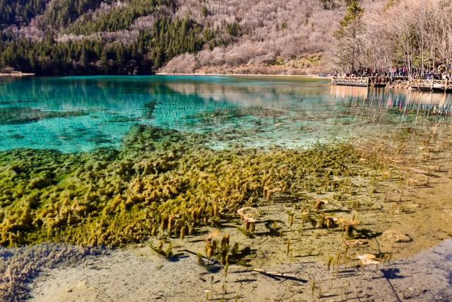 重庆到九寨沟玩2天怎么坐车（重庆开通直达九寨沟汽车）(20)