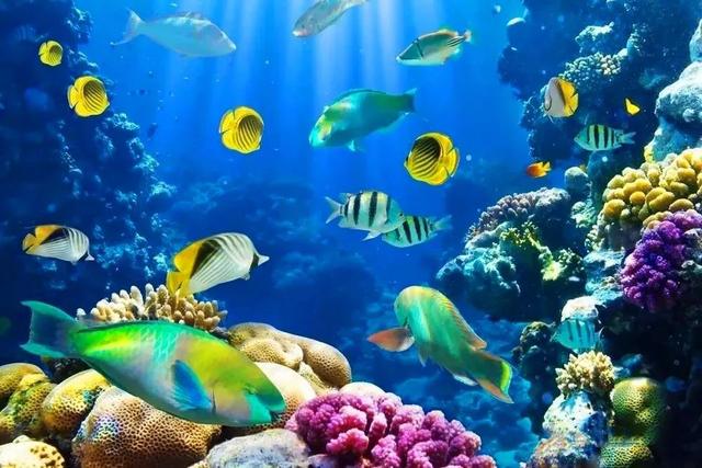 三亚旅游住宿必去攻略大全（三亚不是不适合穷游）(18)