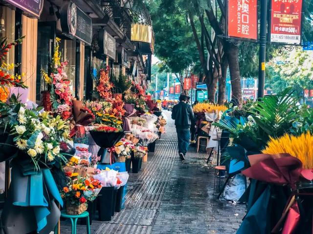 昆明最好的花市（昆明人的宝藏花市Top1）(37)