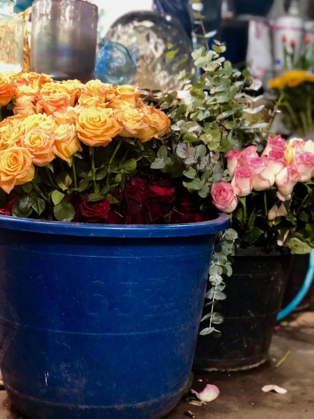 昆明最好的花市（昆明人的宝藏花市Top1）(16)