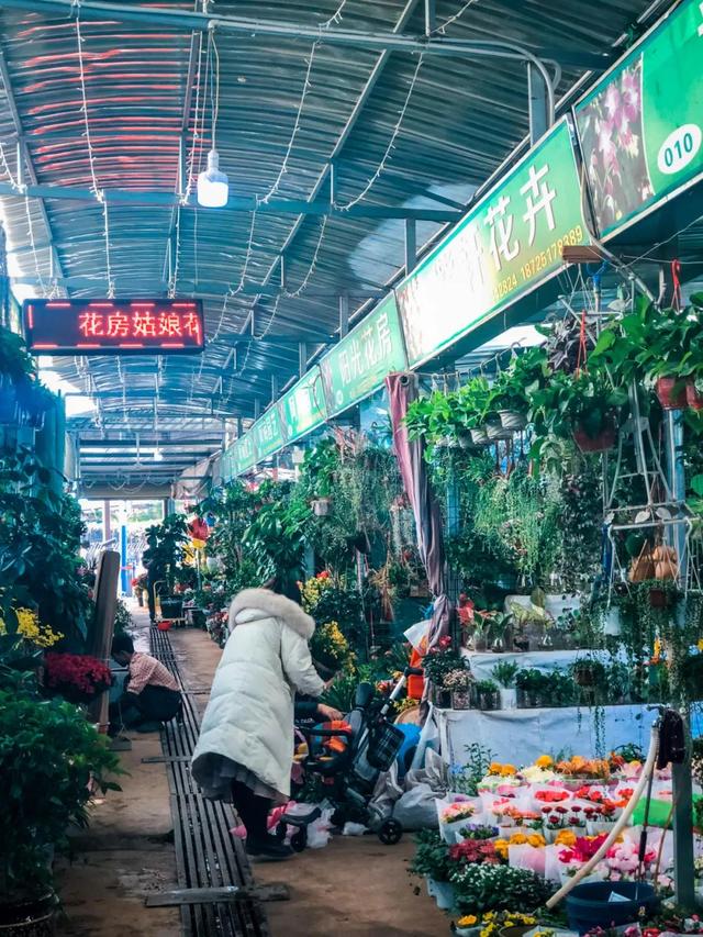 昆明最好的花市（昆明人的宝藏花市Top1）(36)