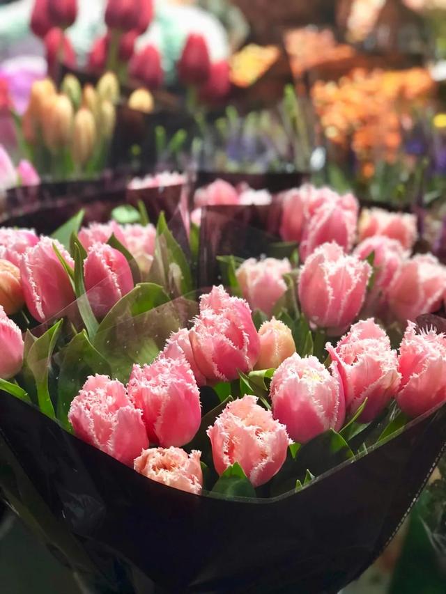 昆明最好的花市（昆明人的宝藏花市Top1）(46)