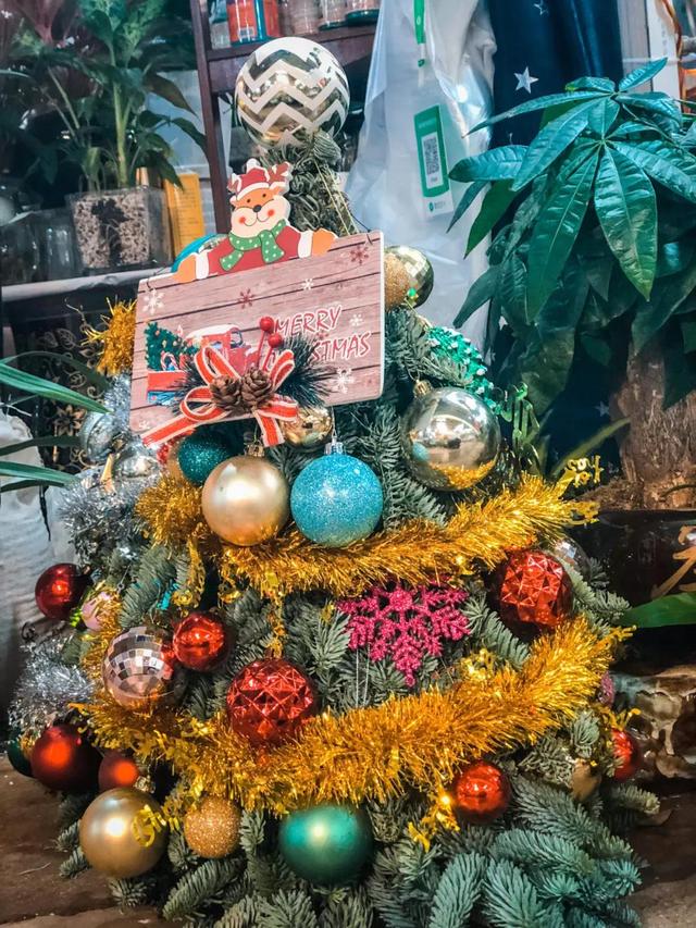 昆明最好的花市（昆明人的宝藏花市Top1）(25)