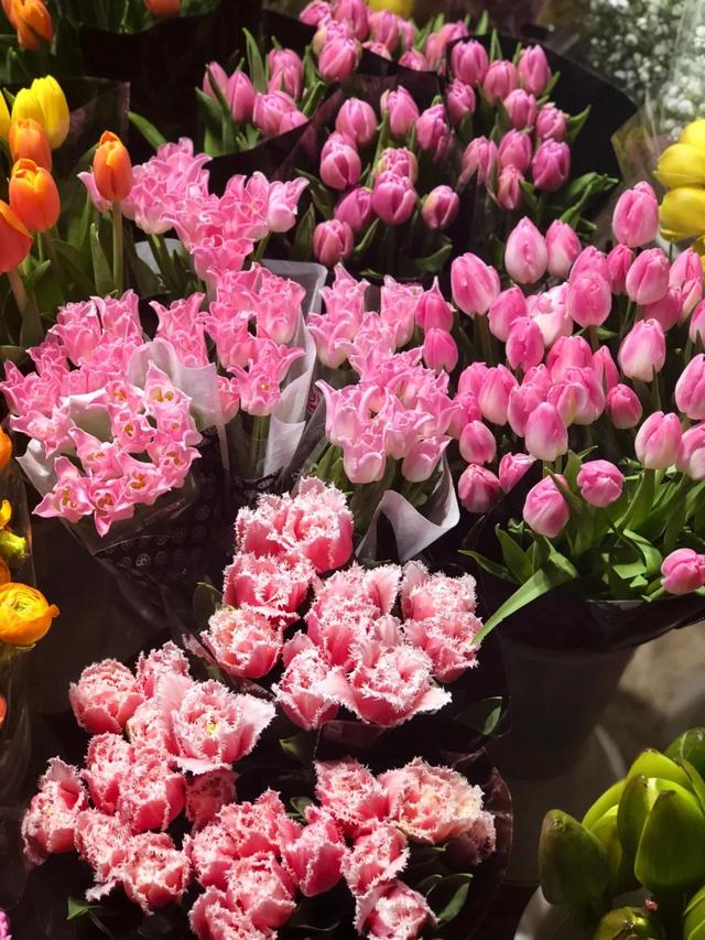 昆明最好的花市（昆明人的宝藏花市Top1）(22)