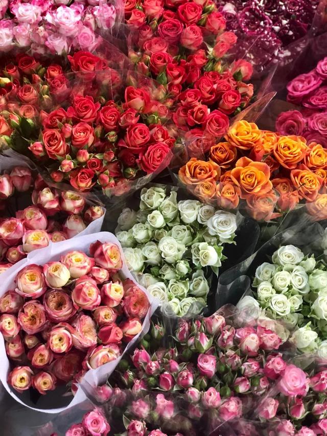 昆明最好的花市（昆明人的宝藏花市Top1）(10)