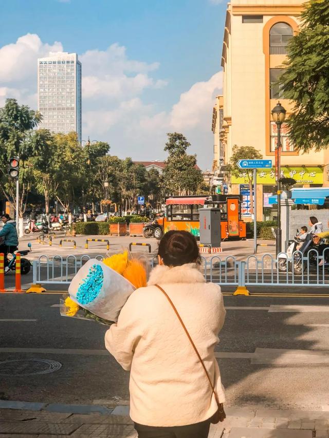 昆明最好的花市（昆明人的宝藏花市Top1）(9)