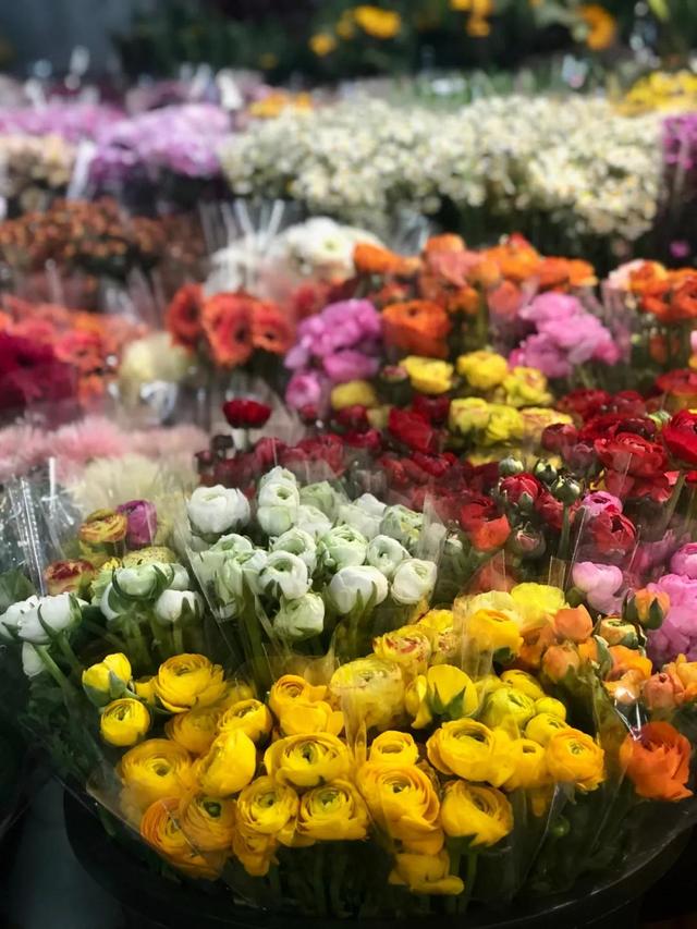 昆明最好的花市（昆明人的宝藏花市Top1）(11)