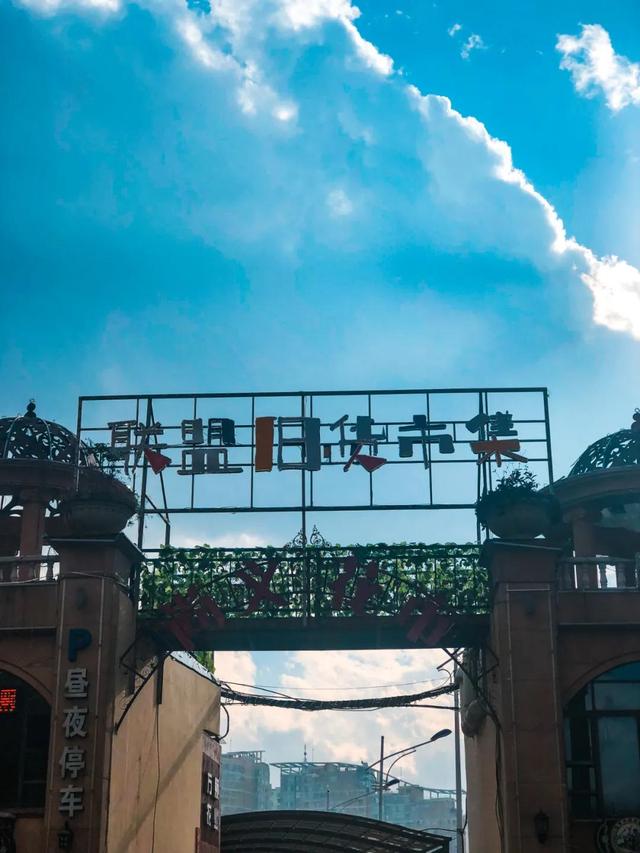 昆明最好的花市（昆明人的宝藏花市Top1）(8)