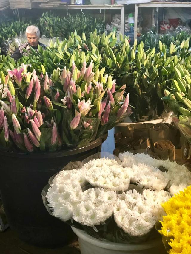 昆明最好的花市（昆明人的宝藏花市Top1）(17)