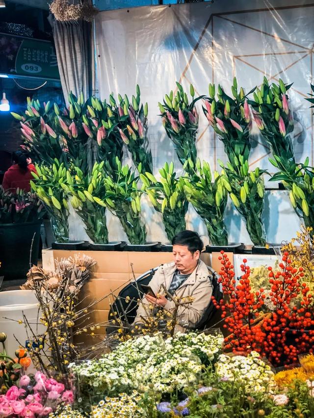 昆明最好的花市（昆明人的宝藏花市Top1）(45)