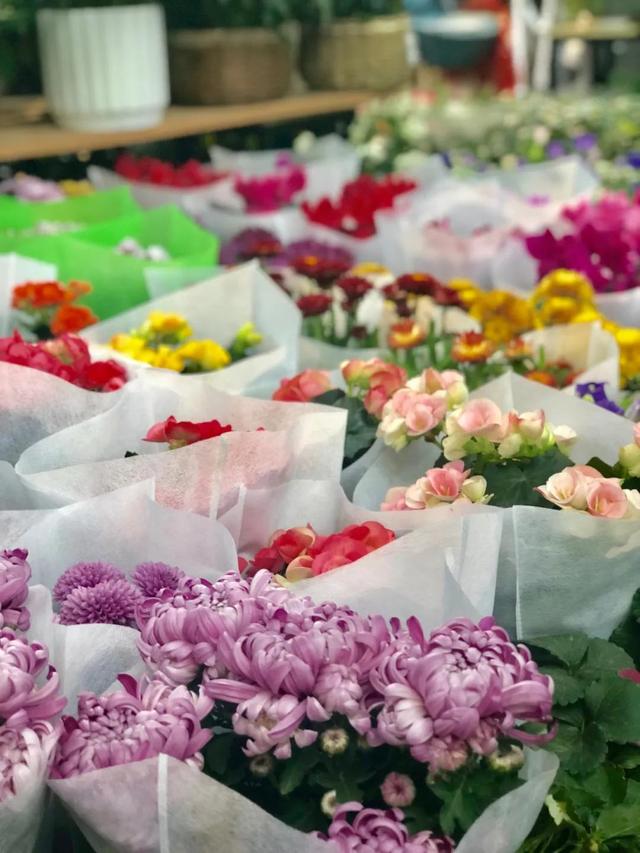 昆明最好的花市（昆明人的宝藏花市Top1）(13)