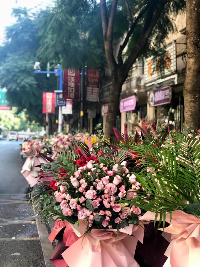 昆明最好的花市（昆明人的宝藏花市Top1）(30)