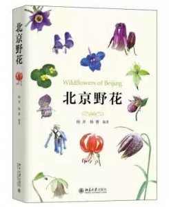 ​北京踏春赏花旅游攻略 一春无事为花忙