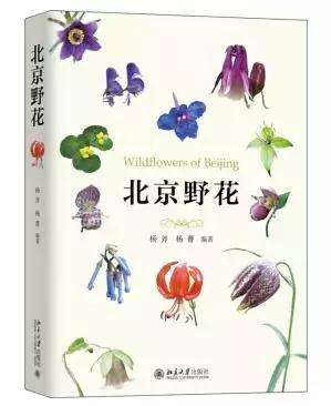 北京踏春赏花旅游攻略 一春无事为花忙(1)