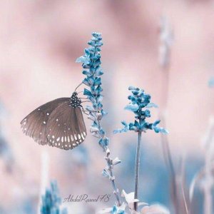 ​中国偏见地图（全国各省的偏见地图）