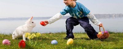 ​小白兔用什么辨别气味 小白兔闻起来味道怎么形容它