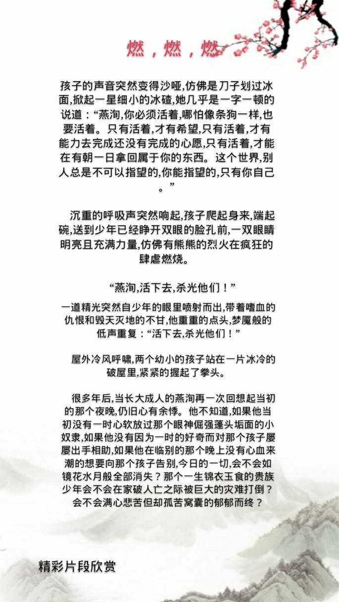 11处特工皇妃推荐(经典穿越言情11处特工皇妃)