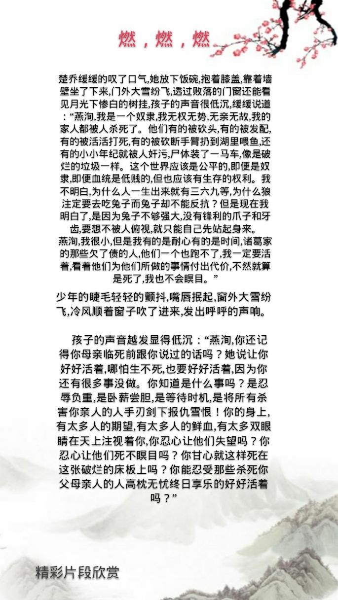 11处特工皇妃推荐(经典穿越言情11处特工皇妃)