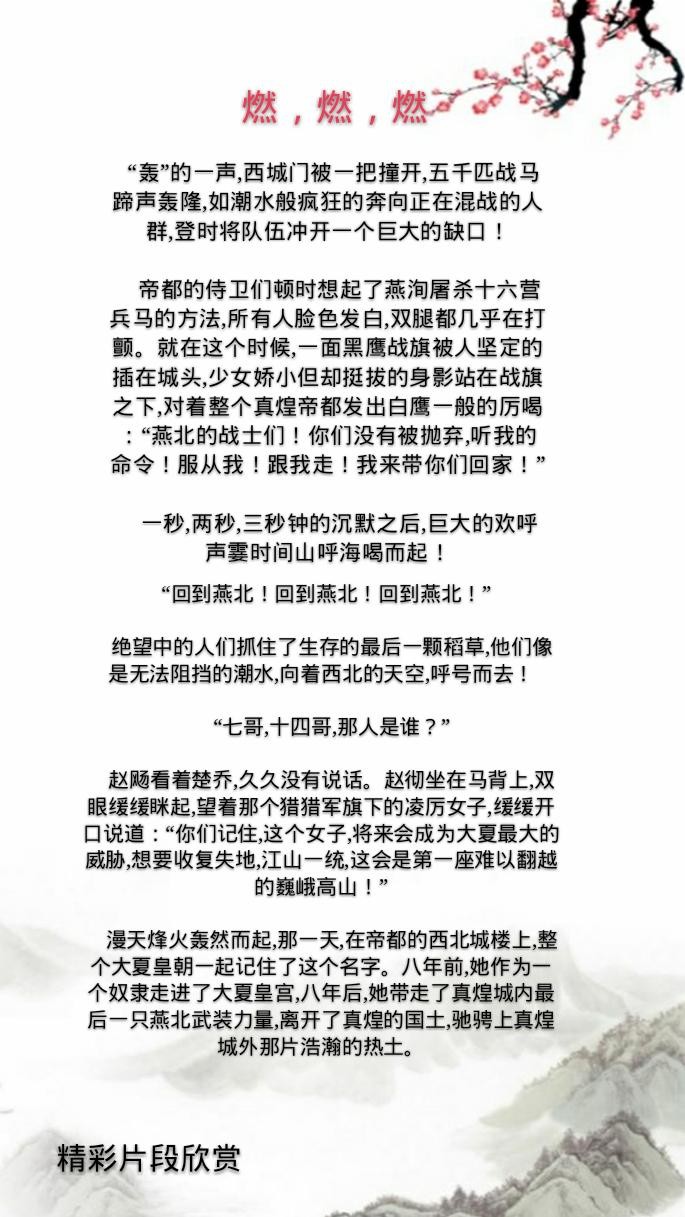 11处特工皇妃推荐(经典穿越言情11处特工皇妃)