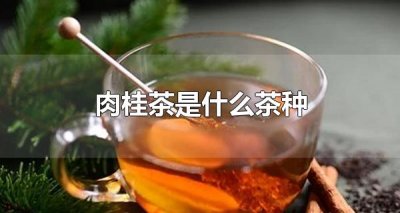 ​肉桂茶是什么茶种 肉桂茶有什么特点