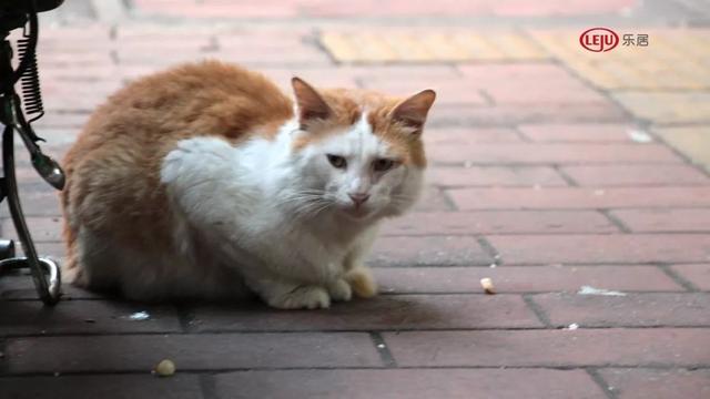 广州南站汽车客运站叫什么名字（广州最古老汽车站越秀南站停运）(16)