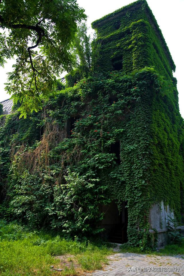 京城八十一号院具体地址（探访北京朝内81号院）(7)