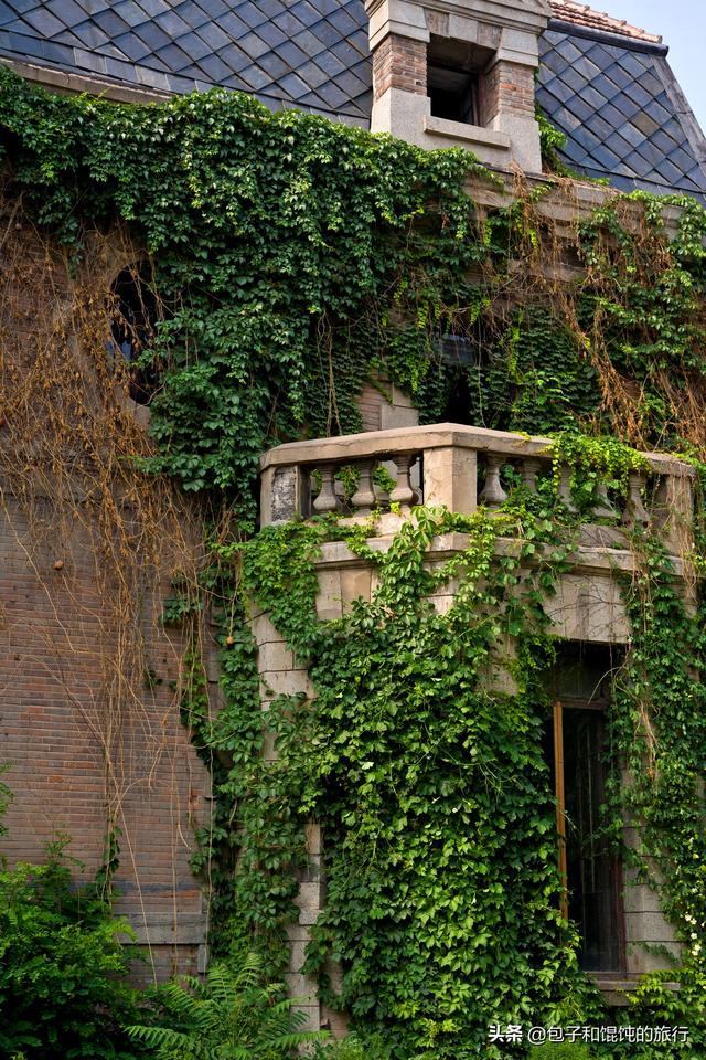 京城八十一号院具体地址（探访北京朝内81号院）(5)