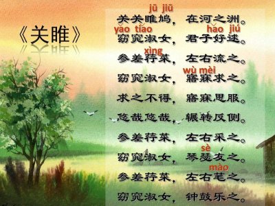 ​参差荇菜的荇菜是什么菜 参差荇菜左右芼之的芼什么意思