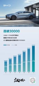 ​比亚迪官宣重要消息！