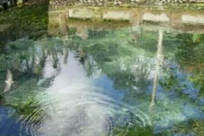 ​世界上的诡异圣泉, “起死回生”, 令人不解