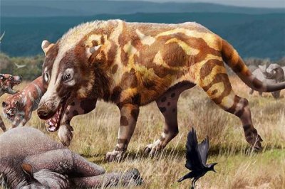 ​史前文明中的中国怪兽 蒙古安氏中兽（国外科学家命名）