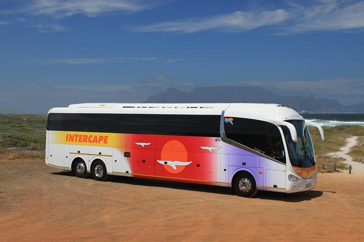 一、海上大巴车