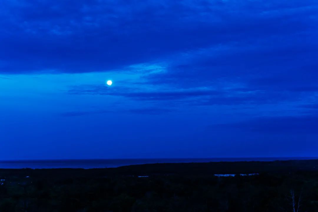 王安石明月何时照我还的前一句(明月何时照我还下一句是什么)