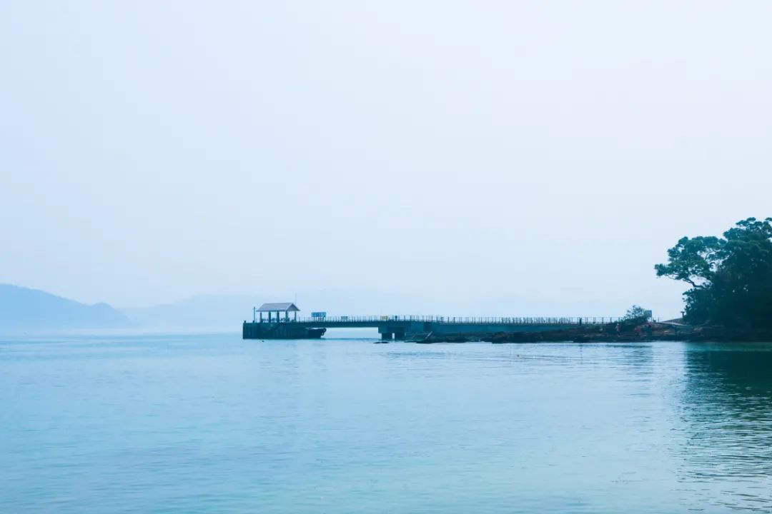 王安石明月何时照我还的前一句(明月何时照我还下一句是什么)