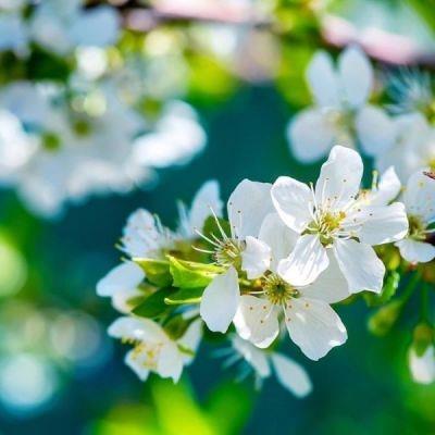 微信头像意境唯美风景图片大全