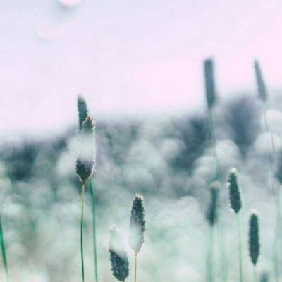 微信头像意境唯美风景图片大全